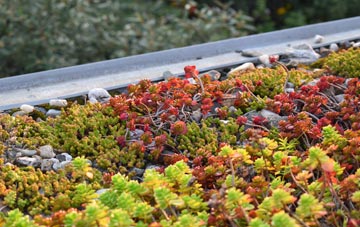 the cost of Llandruidion green roof installation
