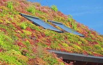 Llandruidion living roof systems