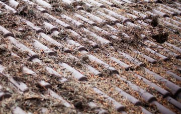 Llandruidion roof cleaning companies