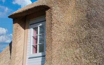 Llandruidion thatch roof disadvantages