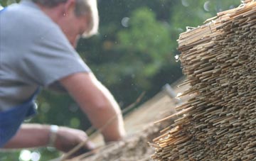 professional Llandruidion thatchers