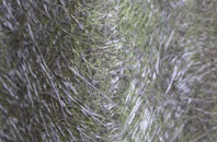 Llandruidion fibreglass roof work